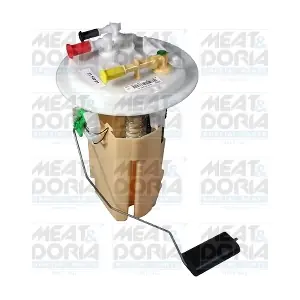 79337 MEAT & DORIA