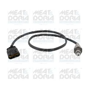 811064 MEAT & DORIA