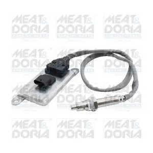 57209 MEAT & DORIA