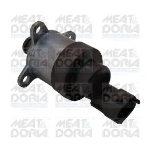 98077 MEAT & DORIA