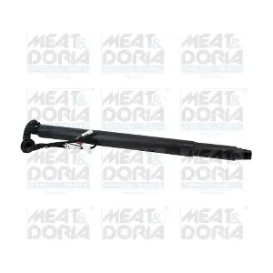 301072 MEAT & DORIA