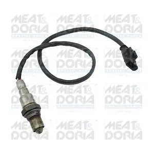 81972 MEAT & DORIA