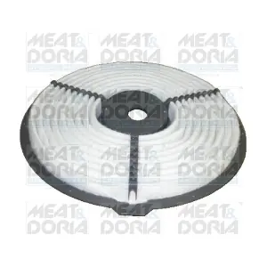 16220 MEAT & DORIA