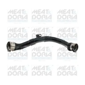 961567 MEAT & DORIA