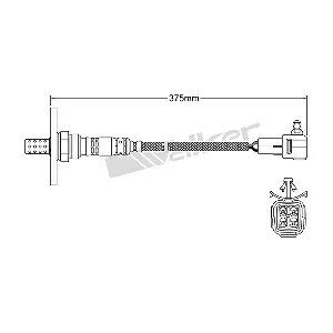 DLS-107 VEGAZ GmbH