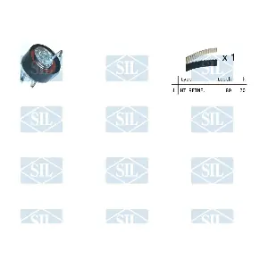 TK1388 Saleri SIL