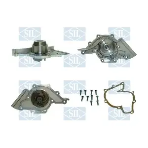 PA1299 Saleri SIL