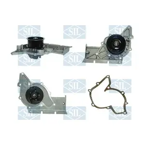 PA1519 Saleri SIL
