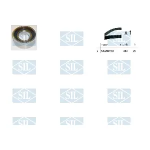 TK1026 Saleri SIL