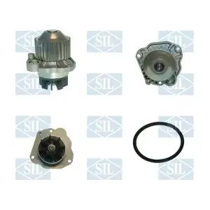 PA1236 Saleri SIL
