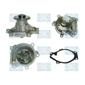 PA1162 Saleri SIL