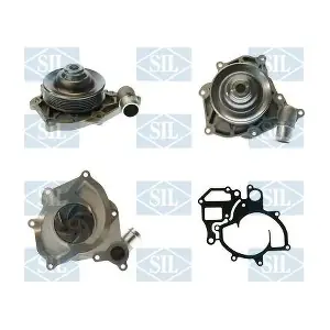 PA1611 Saleri SIL