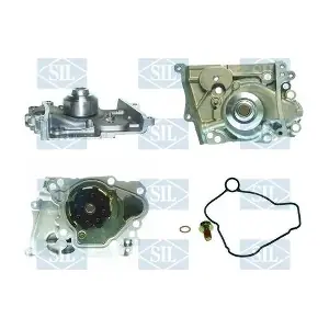 PA1183 Saleri SIL