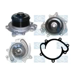 PA1713 Saleri SIL