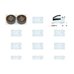 TK1069 Saleri SIL