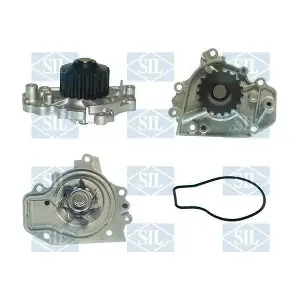 PA1076 Saleri SIL