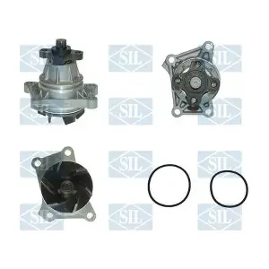 PA1206 Saleri SIL