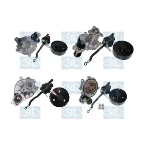 PA1627 Saleri SIL