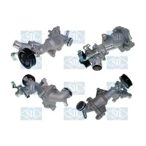 PA1742 Saleri SIL