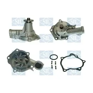 PA1197 Saleri SIL