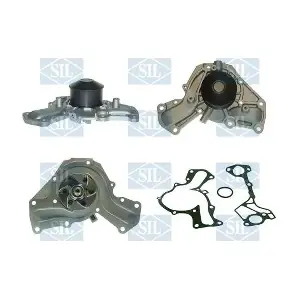 PA1317 Saleri SIL