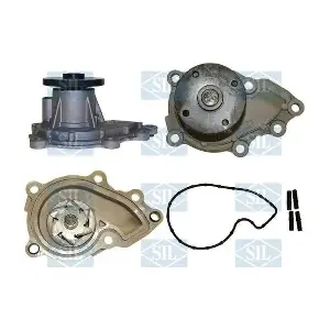 PA1640 Saleri SIL