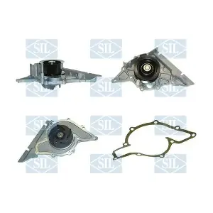 PA1051A Saleri SIL