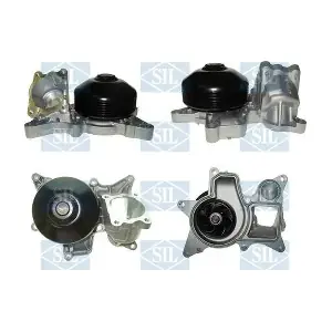 PA1541 Saleri SIL