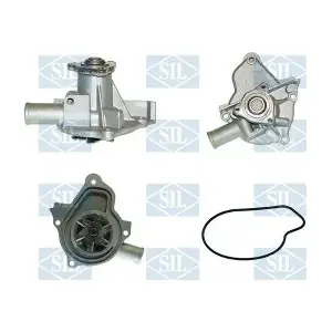 PA1010 Saleri SIL