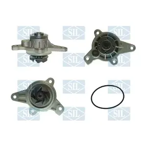 PA1256 Saleri SIL