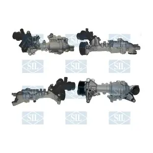 PA1813 Saleri SIL