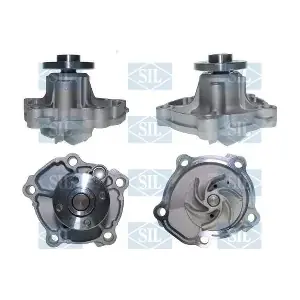 PA1347 Saleri SIL