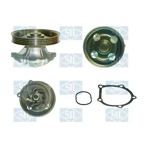 PA1353 Saleri SIL