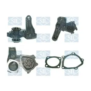 PA695 Saleri SIL