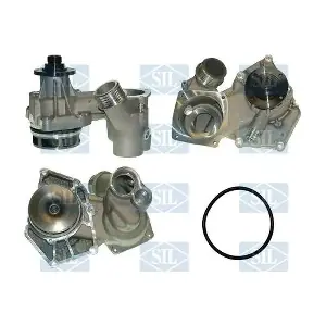 PA925 Saleri SIL