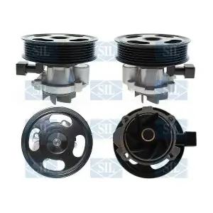 PA1720 Saleri SIL