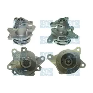 PA1582 Saleri SIL
