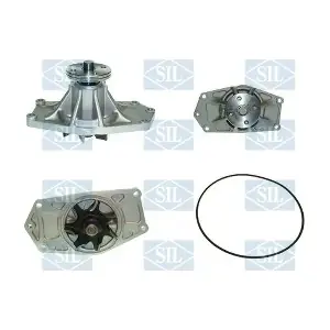 PA1174 Saleri SIL