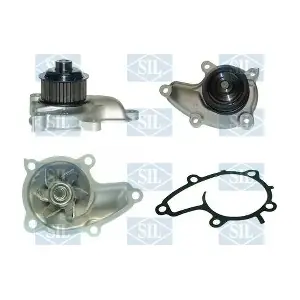 PA1167 Saleri SIL