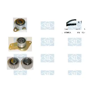 TK1080 Saleri SIL