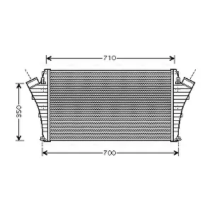 OLA4361 AVA Clever Choice