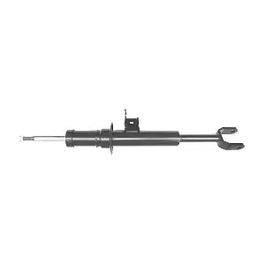 31316797769 CITROEN