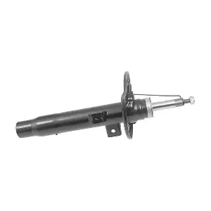 AM7317 MGA