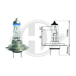 DIEDERICHS LID10063