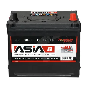 SB.ASIA08 PANTHER-BATTERIEN