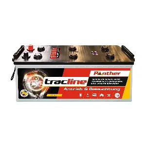 AB.9605133 PANTHER-BATTERIEN