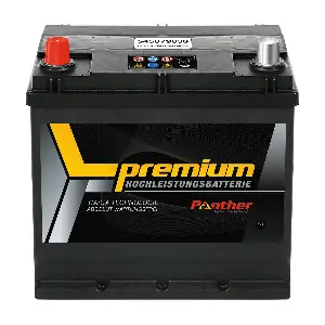 SB.5457933 PANTHER-BATTERIEN