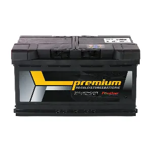 PANTHER-BATTERIEN SB.5883833n
