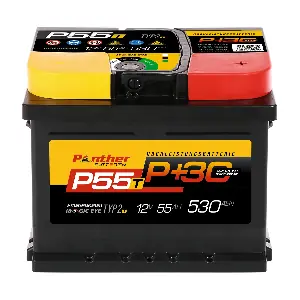 PANTHER-BATTERIEN SB.P55TL1