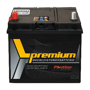 SB.5352233 PANTHER-BATTERIEN